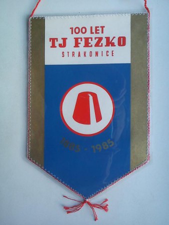 STRAKONICE TJ FEZKO 100 -28-